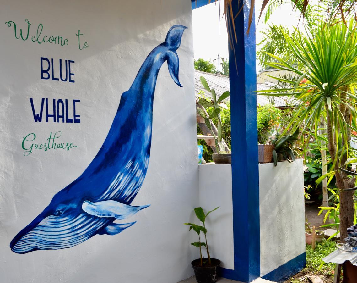 Blue Whale Guesthouse Gili Trawangan Buitenkant foto