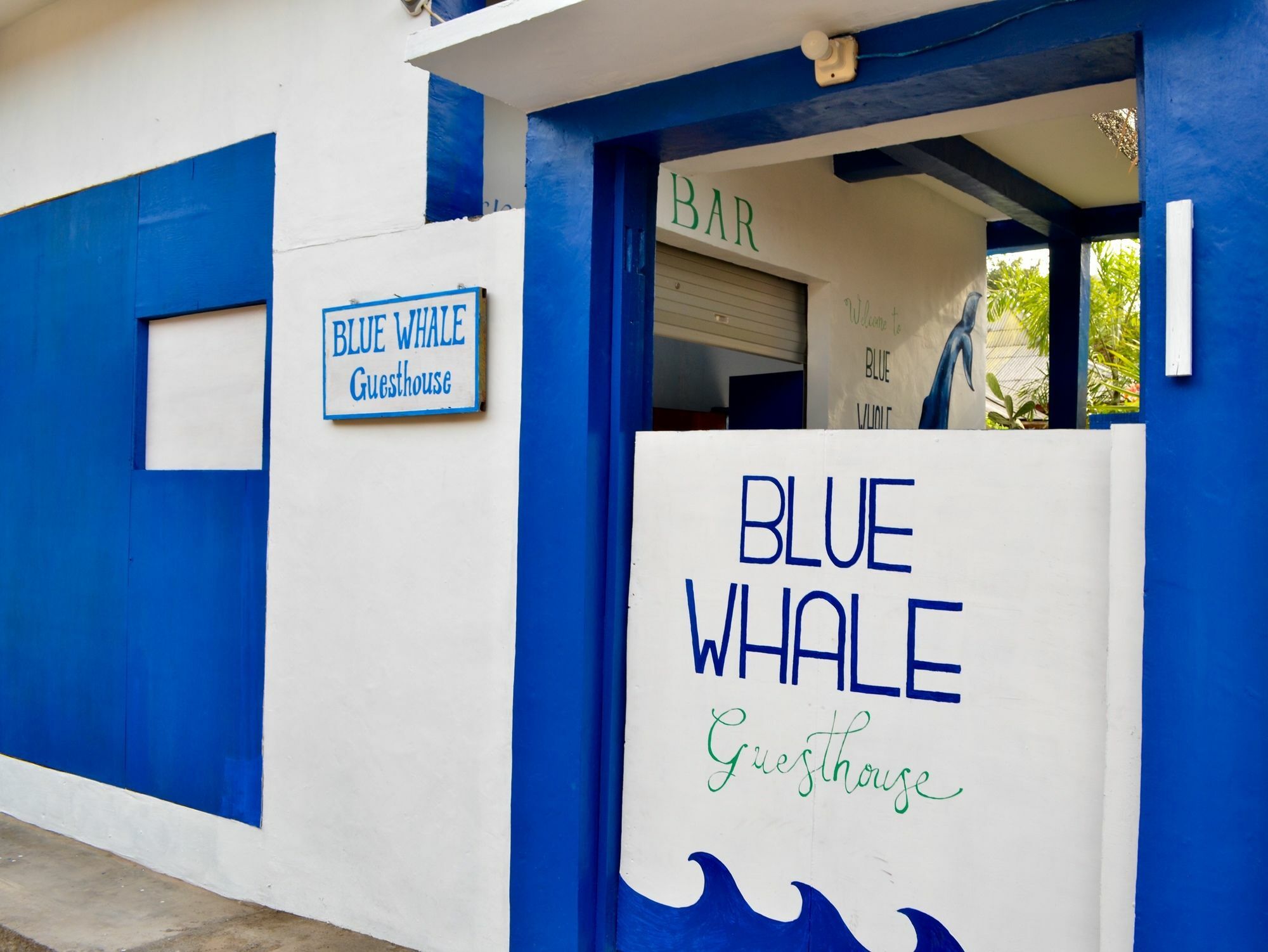 Blue Whale Guesthouse Gili Trawangan Buitenkant foto